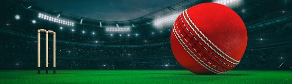 cricket bet com log in.
